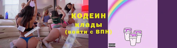 мдпв Лабытнанги